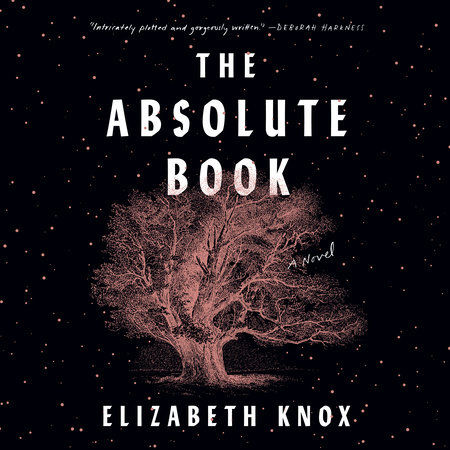 image for The Absolute Book: A Novel