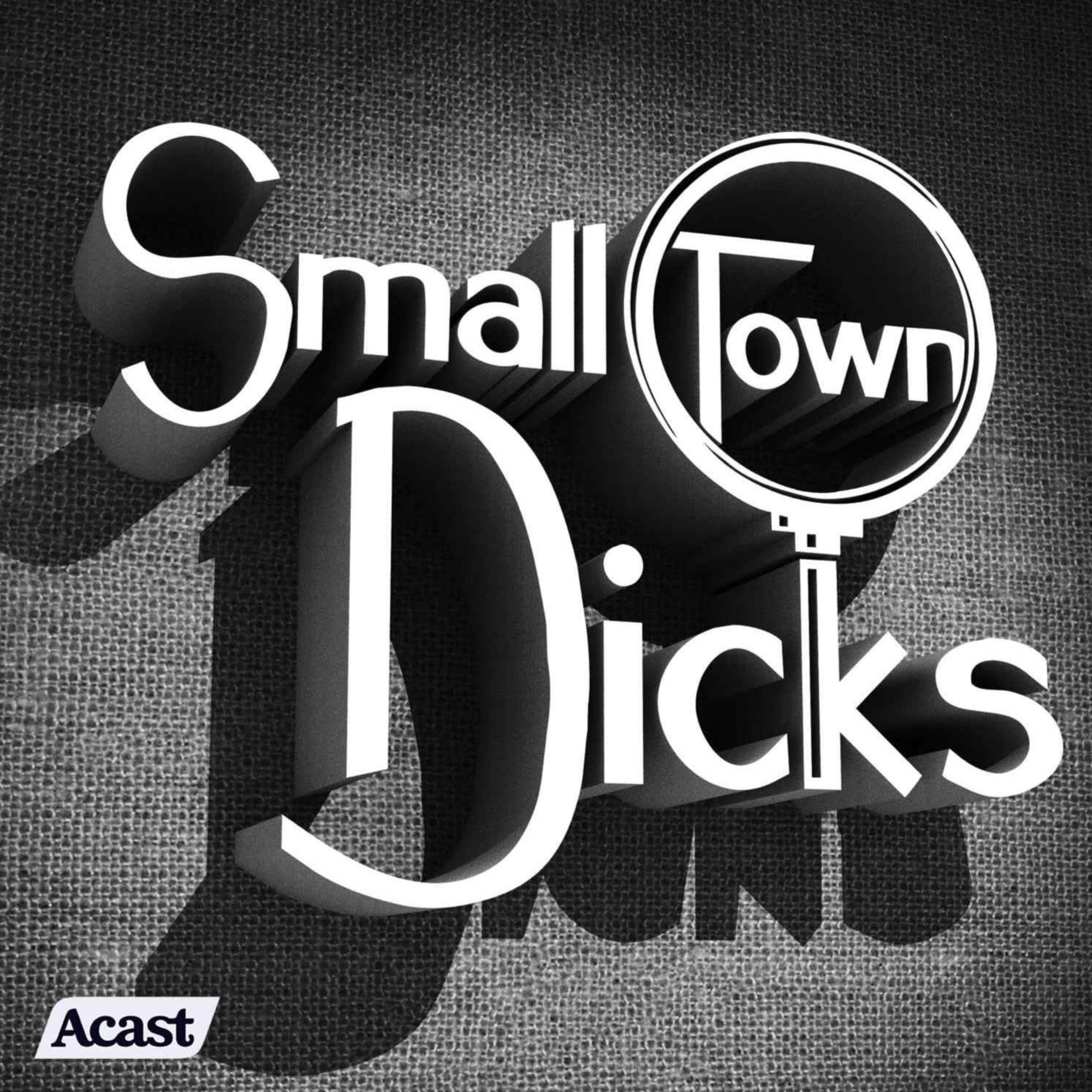 Small Town Dicks logo