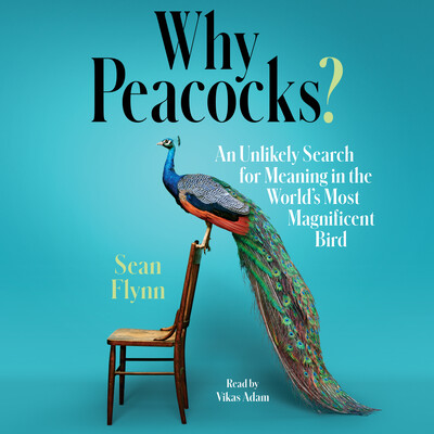 image for Why Peacocks?: An Unlikely Search for Meaning in the World's Most Magnificent Bird