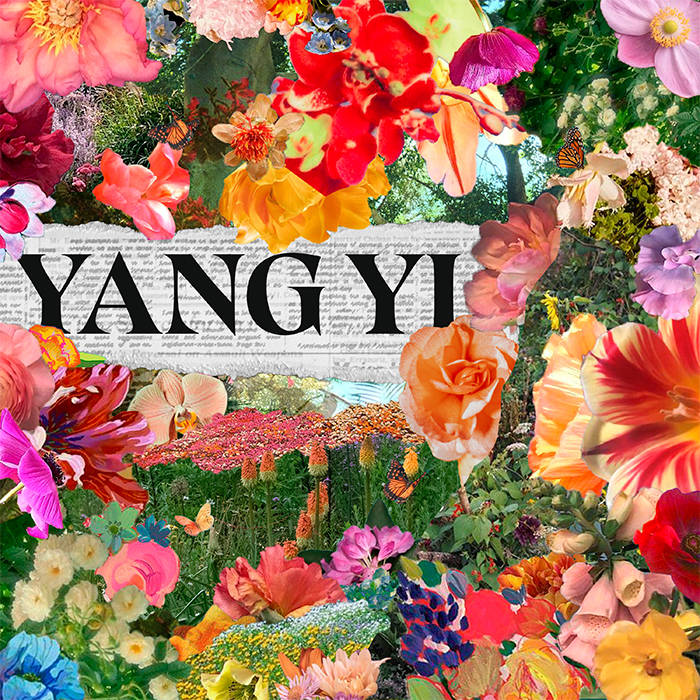 杨一 Yang Yi logo