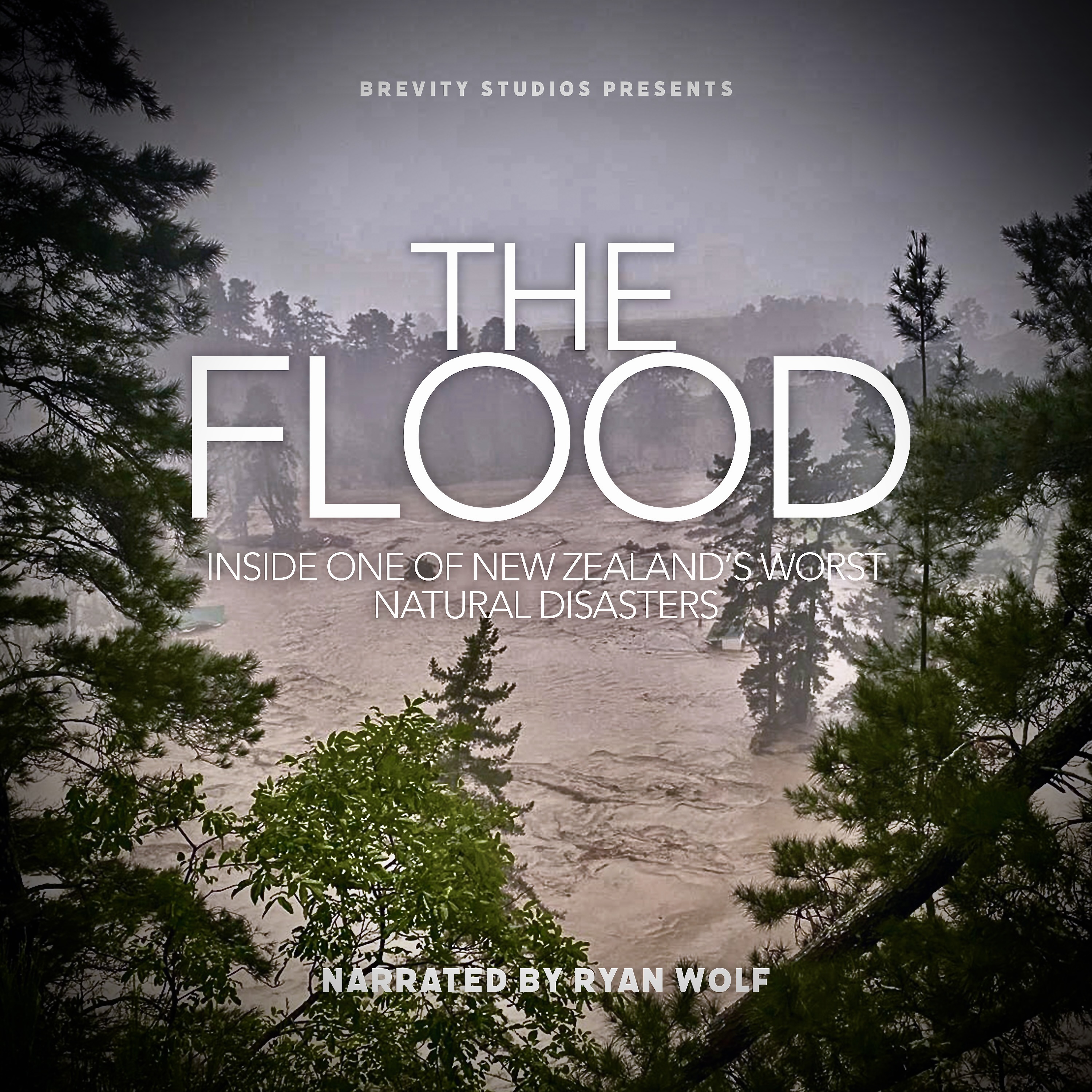 The Flood podcast tile