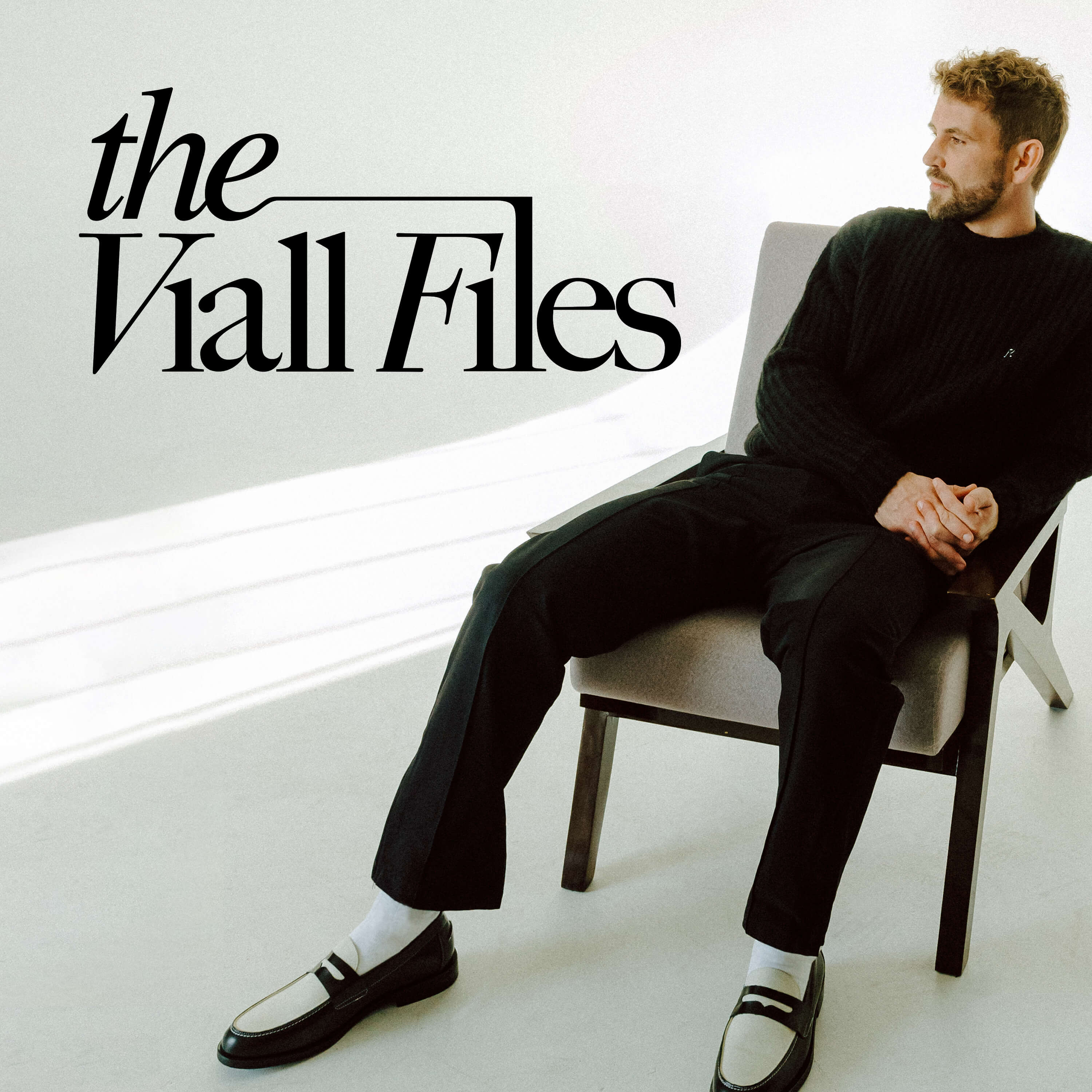 The Viall Files logo
