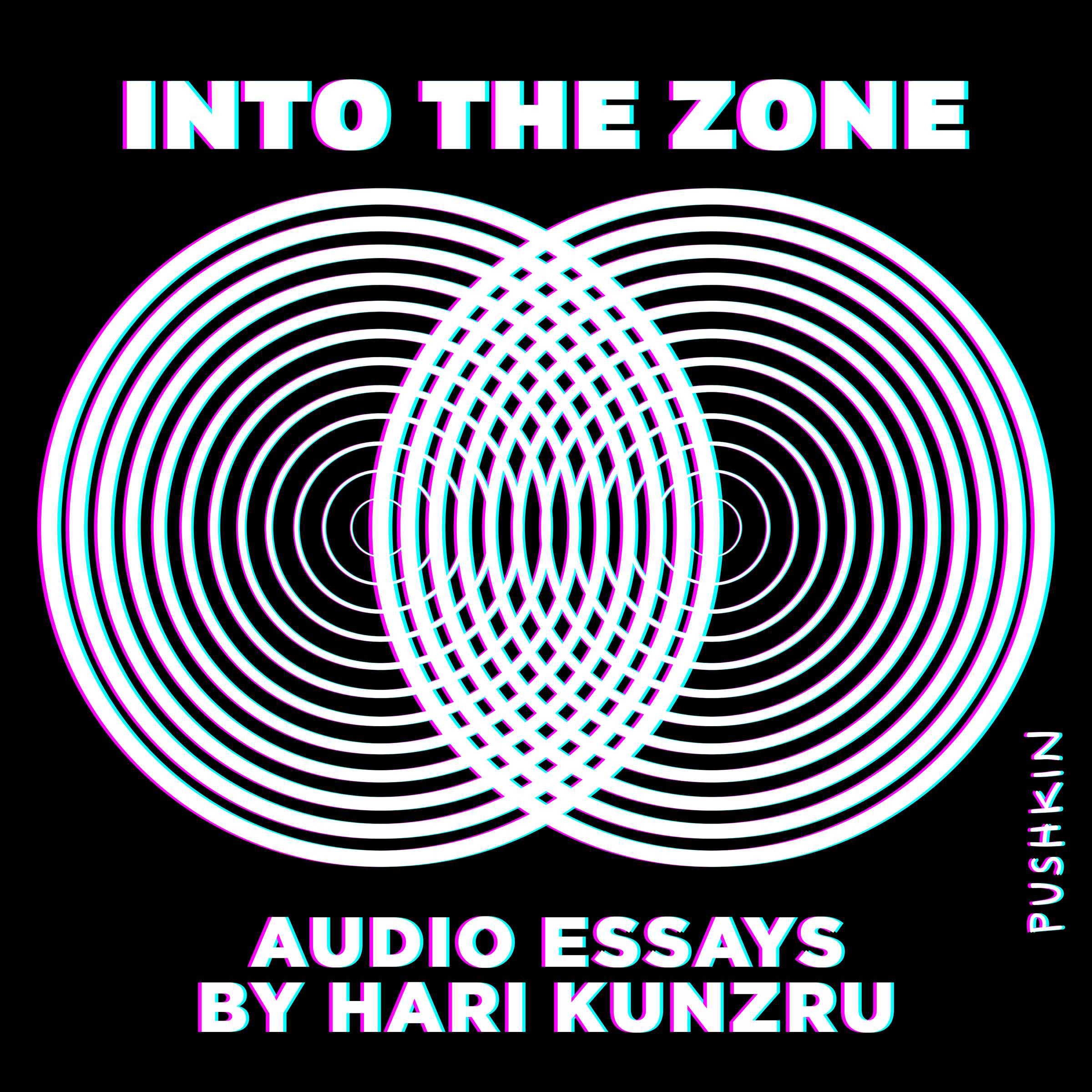 image for Into the Zone: Audio Essays