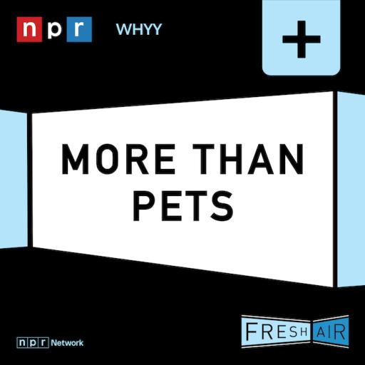 This is a collection celebrating cats and dogs, and how (and why) they behave like they do.