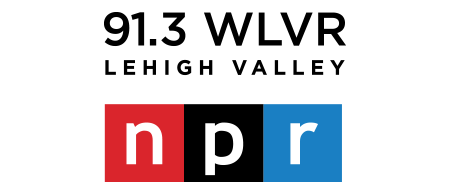 91.3 WLVR