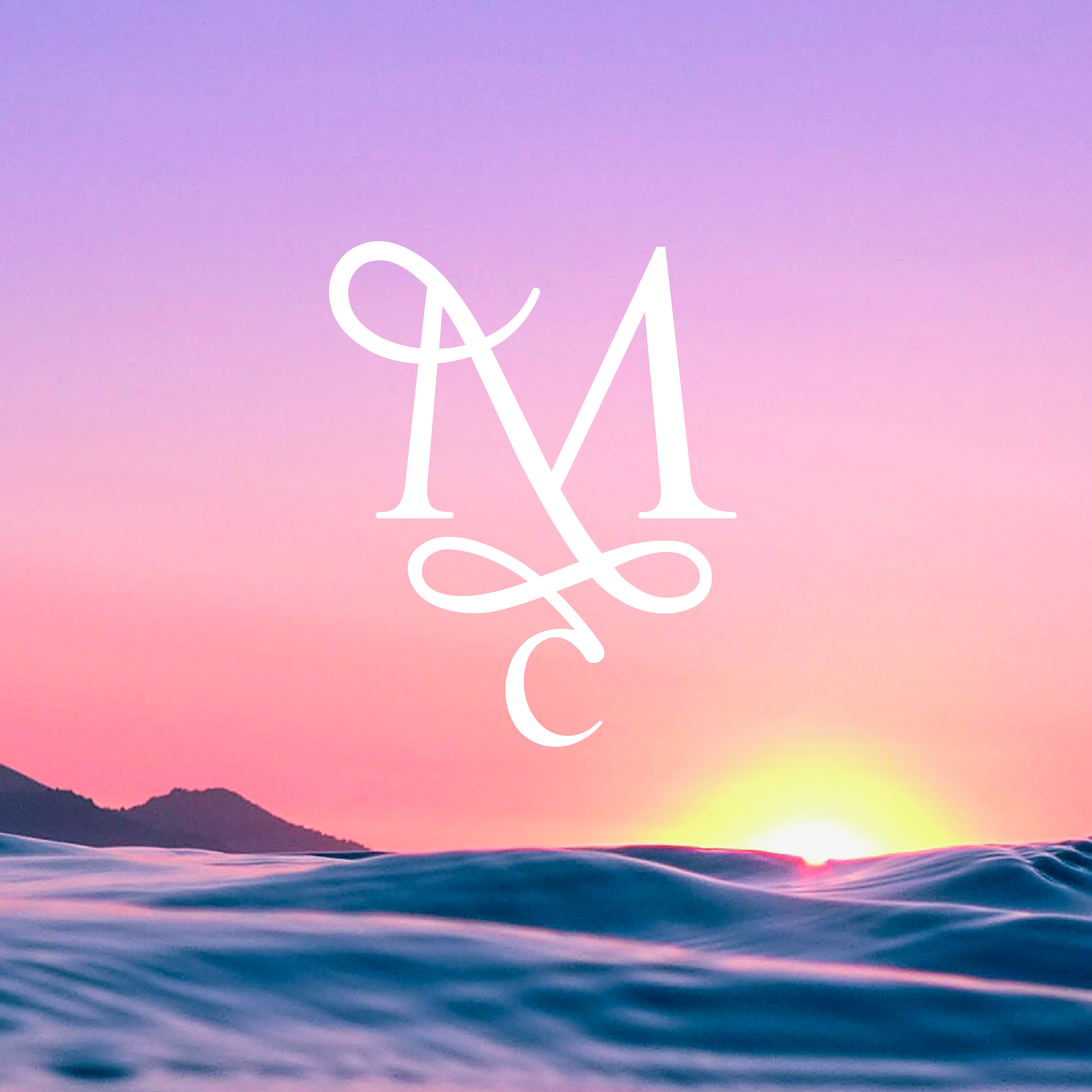 META Conciencia logo