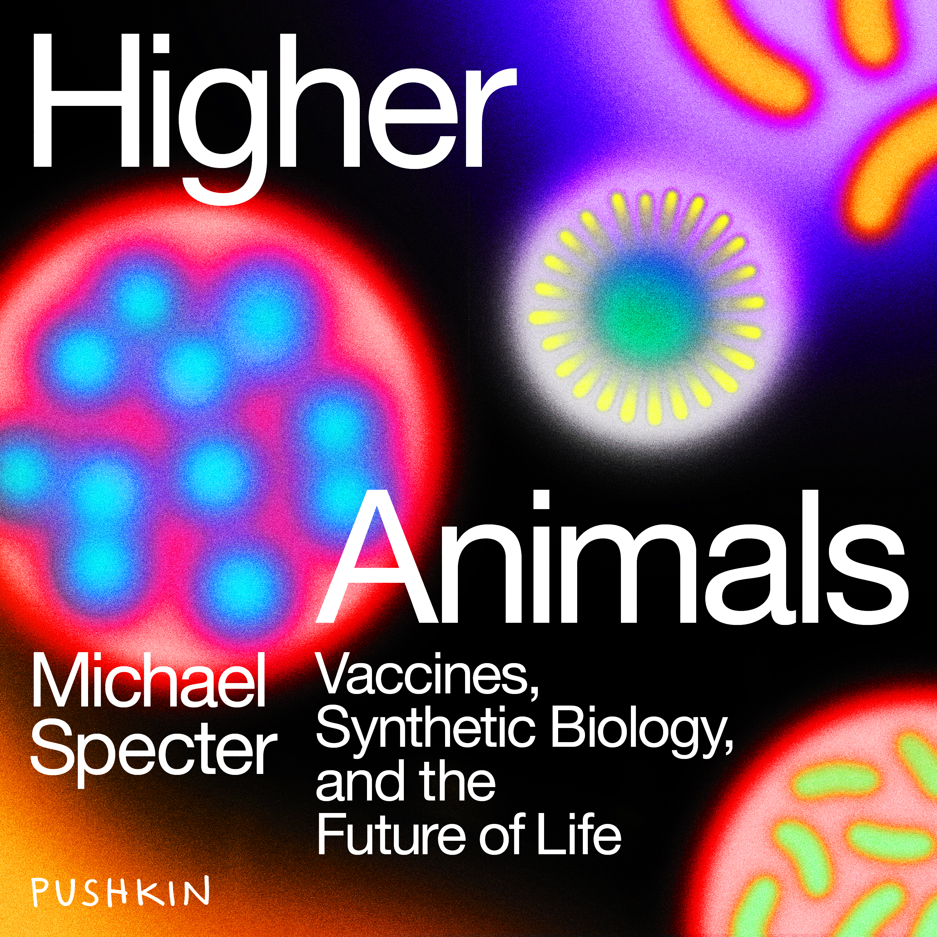 image for Higher Animals