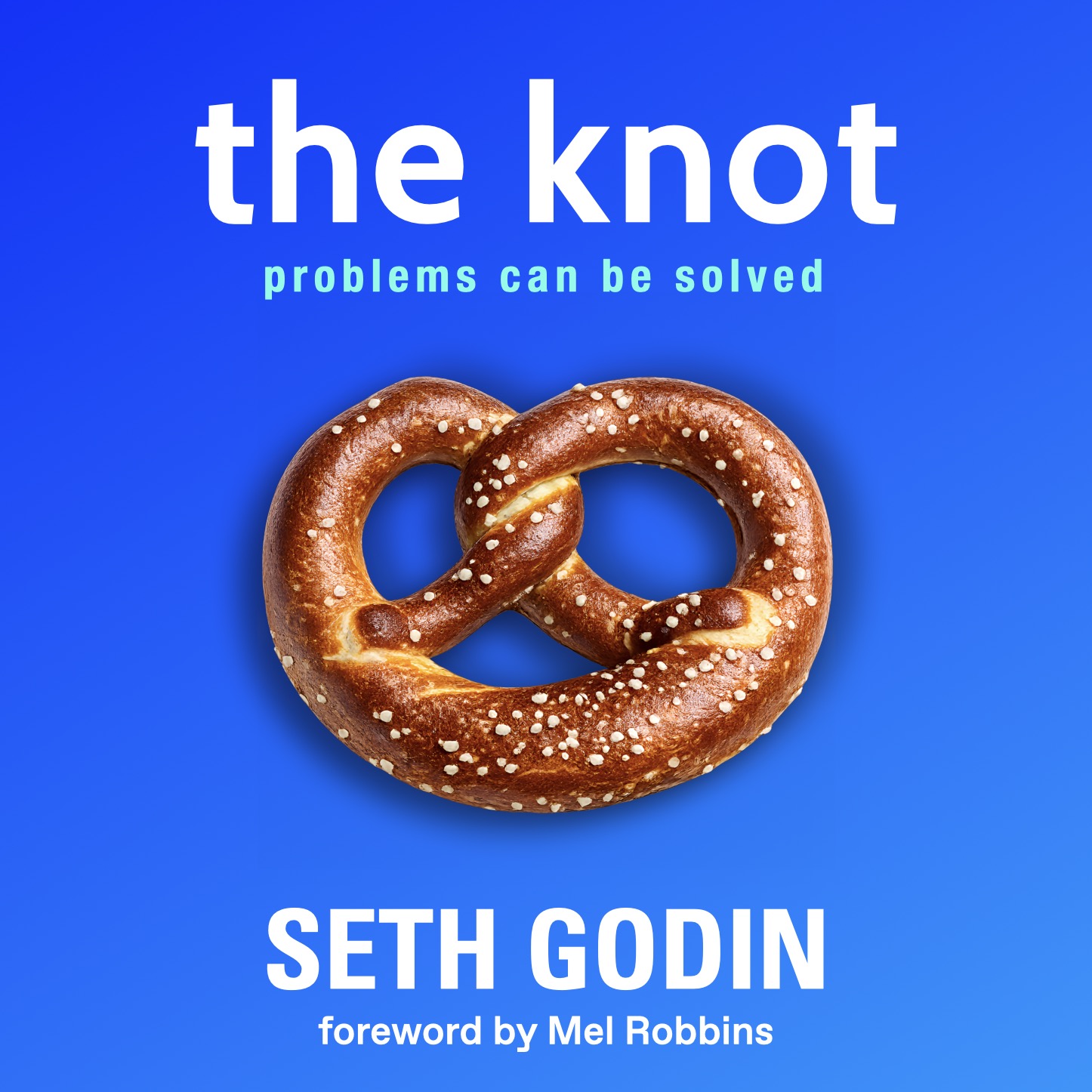 Seth Godin logo
