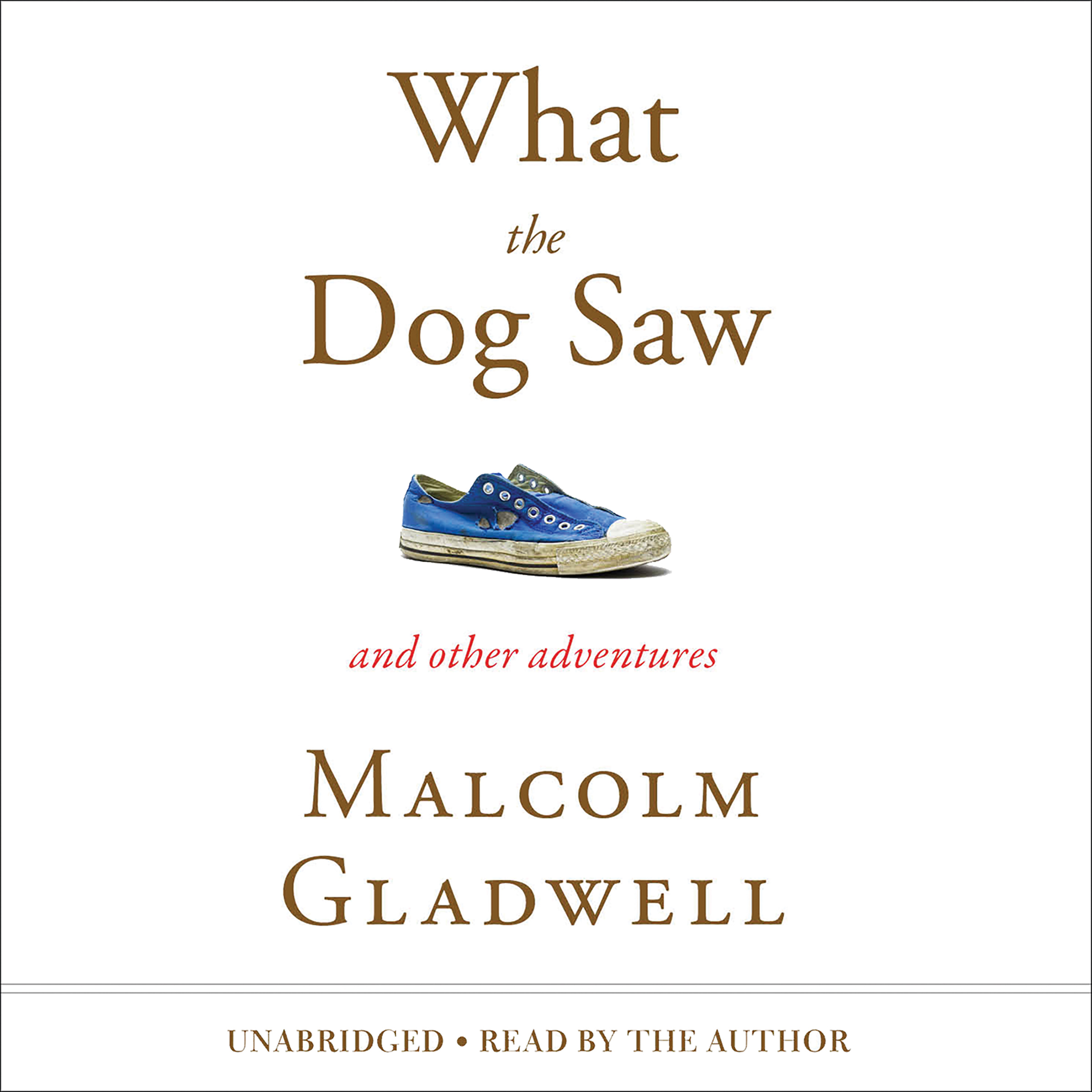image for What the Dog Saw: And Other Adventures