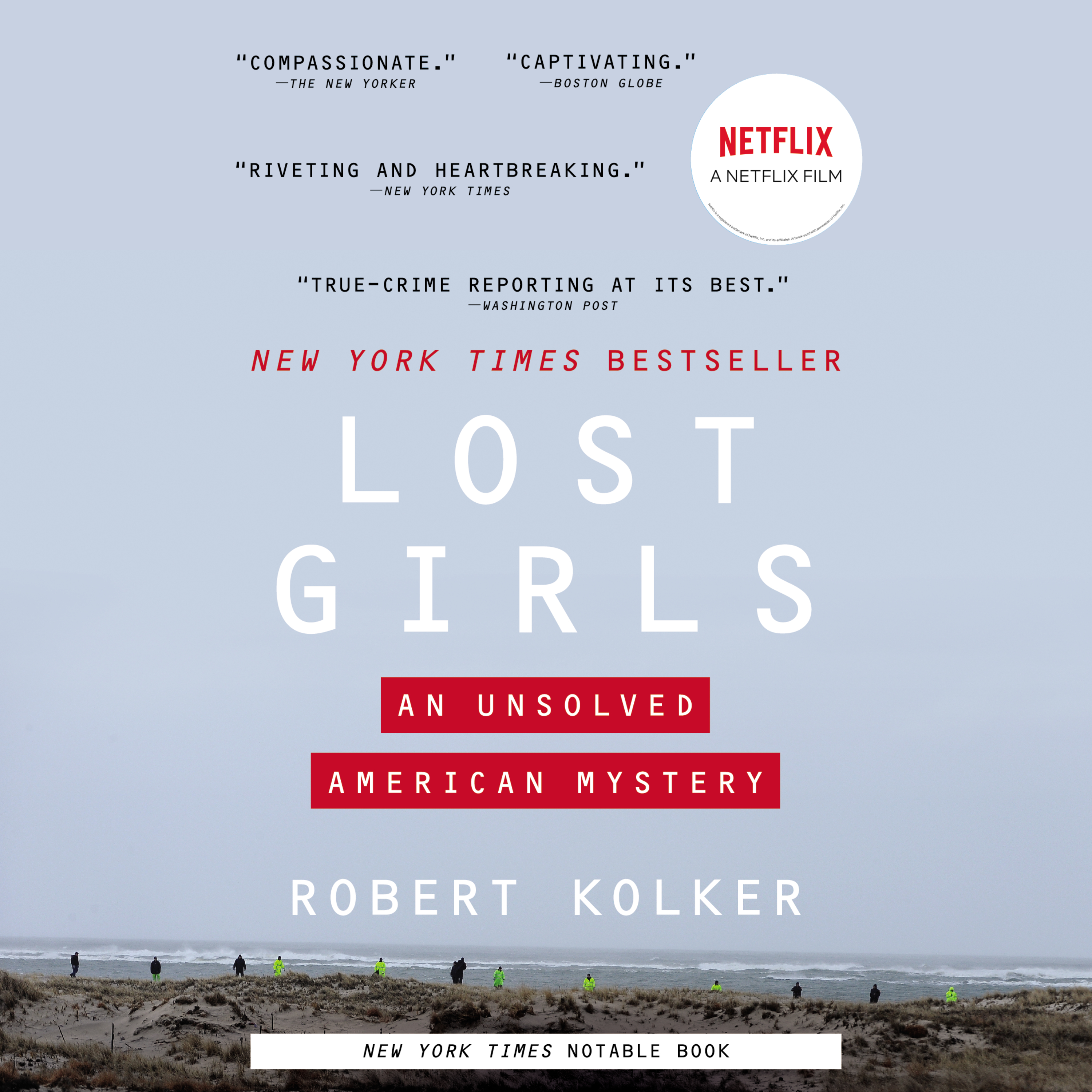 image for Lost Girls: An Unsolved American Mystery