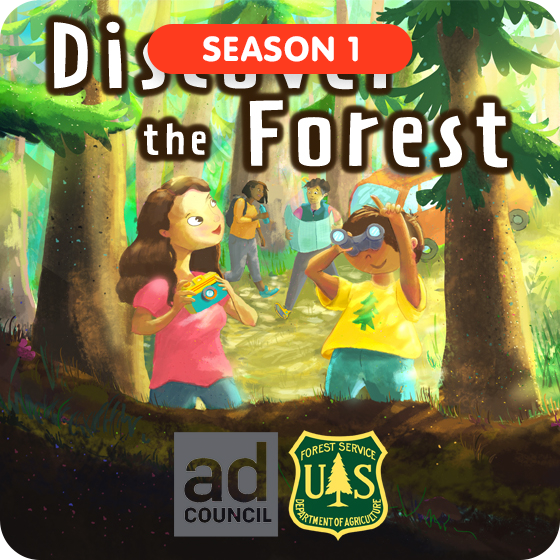 image for Discover the Forest - Season 1