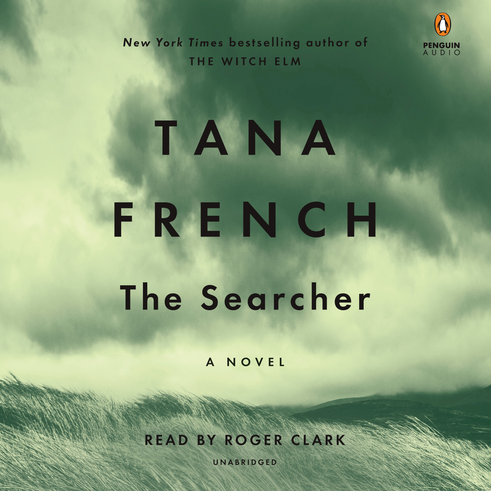 image for The Searcher: A Novel